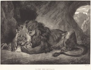 Leeuw van het Atlasgebergte