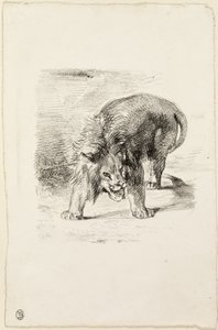 Staande leeuw door Eugène Delacroix