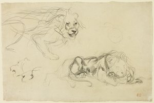 Studies van leeuwen door Eugène Delacroix