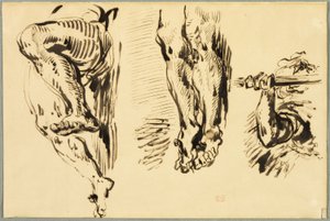 Studie van armen en benen van de gekruisigde Christus door Eugène Delacroix