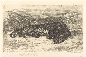 Tijger slapend in de woestijn door Eugène Delacroix