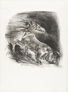 Wild paard, of geschrokken paard dat het water verlaat