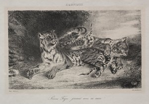 Jonge Tijger die met Zijn Moeder Speelt door Eugène Delacroix