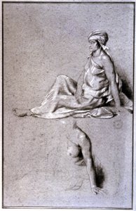 Vrouwenstudies, Sahel