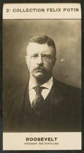 Theodore Roosevelt, President van de Verenigde Staten door European Photographer