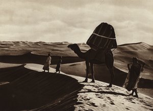 Vervoer van vrouwen door de Sahara