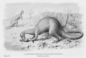 Een vleesetende dinosaurus, Megalosaurus Bucklandi (litho)