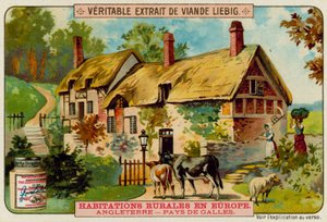 Een Welshe boerderij door European School
