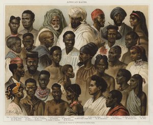 Afrikaanse Rassen