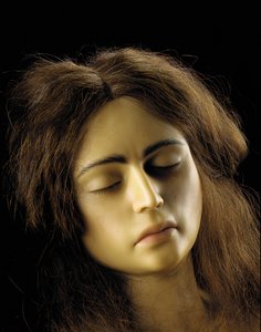 Anatomisch model van een ovariumzwangerschap (detail)