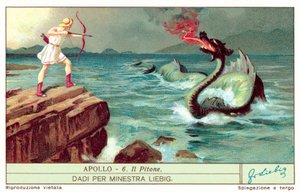 Apollo doodt Python door European School