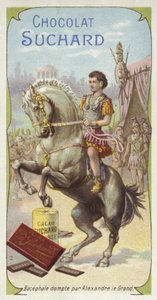 Bucephalus getemd door Alexander de Grote door European School