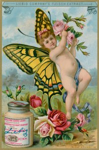 Vlinder Cherub met Rode Rozen