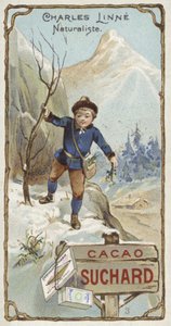 Carl Linnaeus, Zweedse botanicus en zoöloog, als kind door European School