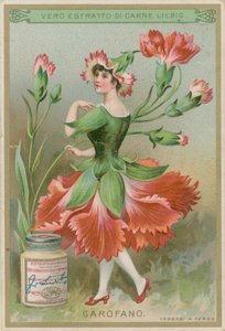 Anjer Bloemenmeisje