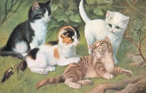 Prentbriefkaart (kleurenlitho)