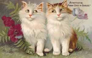 Prentbriefkaart (kleurenlitho)