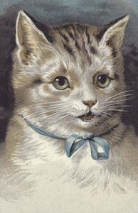 Kat met blauwe kraag (chromolitho)
