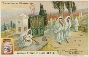 Begraafplaats bij Blida in Algerije