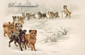 Ansichtkaart hond (kleurenlitho)
