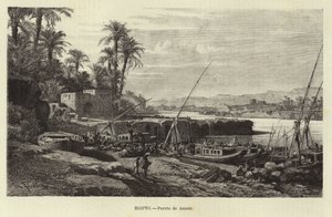Egypte - Haven van Aswan door European School