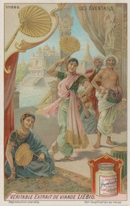 Waaiers in India door European School