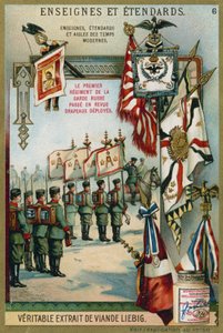 Eerste Regiment van de Russische Garde wordt gereviewd met vlaggen door European School