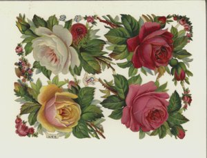 Bloemen