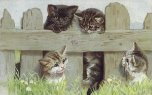 Vier kittens bij een hek (chromolitho) door European School