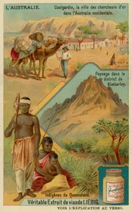Goudkoorts stad Coolgardie, het platteland rond Kimberley en aboriginals uit Queensland door European School