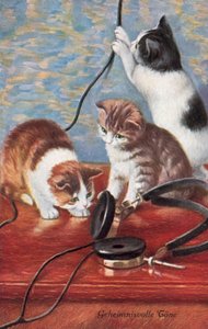 Humoristische kattenpostkaart (kleurenlitho) door European School