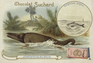 Ichthyosaurus en gewone dolfijn