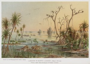 Lagune in Noord-Loango, West-Afrika