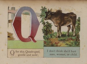 Letter Q door European School
