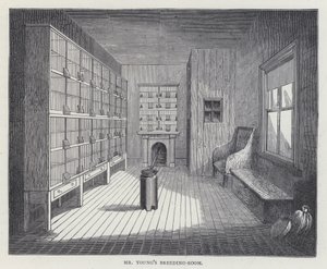 De broedkamer van meneer Young door European School