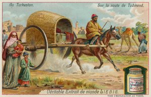 Op weg naar Tasjkent in Oezbekistan door European School