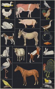 Pagina uit kinderprentenboek, Dieren (kleurenlitho) door European School