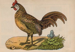 Pagina uit het magische boek (kleur litho)
