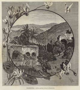 Palestina, Galilese dorp nabij Nazareth door European School