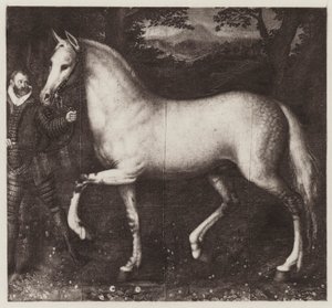 Het Paard van Koningin Elizabeth