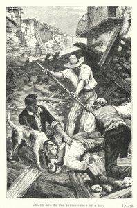 Redding door de Intelligentie van een hond (gravure) door European School