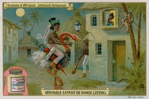 De Fantasie Serenade door European School