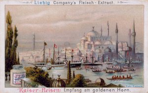 De Gouden Hoorn in Istanbul door European School
