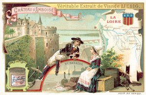 De Loire en een uitzicht op het kasteel van Amboise door European School