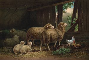De Schaapskooi