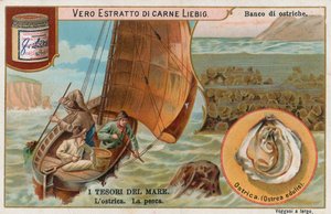 Schatten van de zee, Liebig-kaart, begin 20e eeuw (chromo) door European School