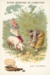 Truffels (chromolitho)