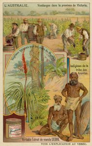 Wijnbouwers in Victoria, Aranda aboriginals en typische planten langs de oevers van de Murray rivier door European School