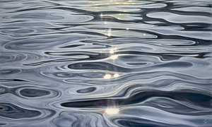 Geleid door licht, 2023 (olieverf op doek) door Eva Volf