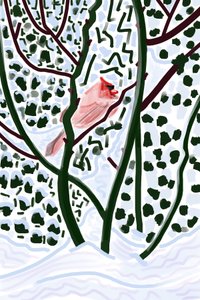 Kardinaal in sneeuw (digitale kunst) door Evan Sklar